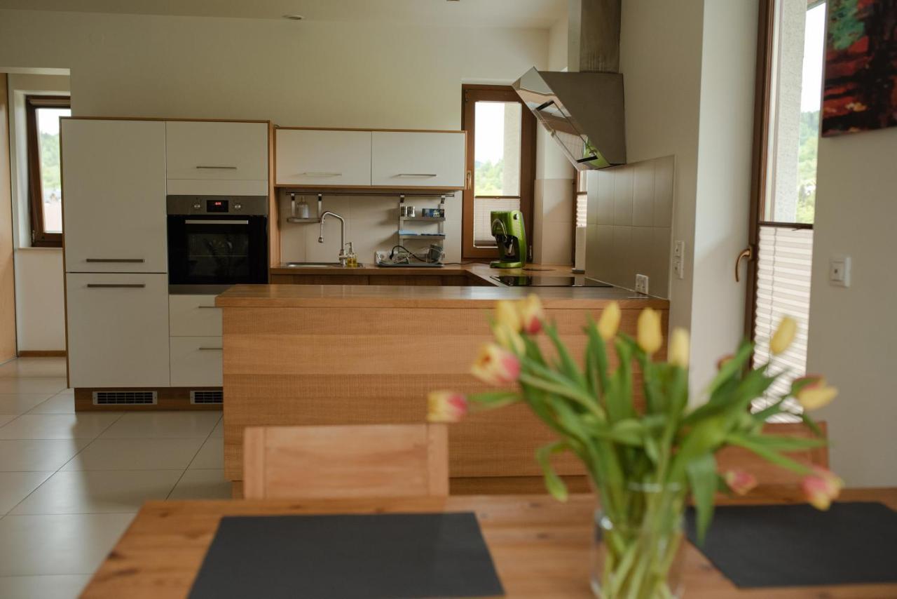Apartament Sloneczna Rapsodia - Blisko Parku Zdrojowego - Piekny Widok - Ogrod - Taras Rabka-Zdrój Dış mekan fotoğraf